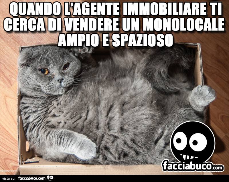 Quando l'agente immobiliare ti cerca di vendere un monolocale ampio e spazioso