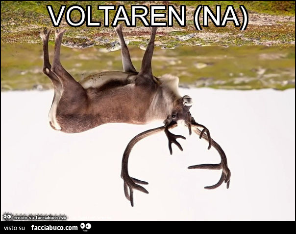 Voltaren (na)