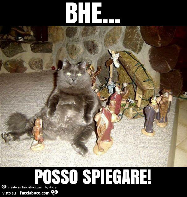 Gatto nel presepe. Bhe… posso spiegare