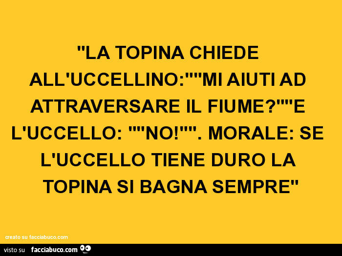 La topina chiede all'uccellino: mi aiuti ad attraversare il fiume? E l'uccello: no! Morale: se l'uccello tiene duro la topina si bagna sempre