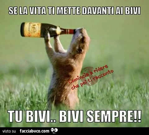 Se la vita ti mette davanti ai bivi. Tu bivi&hellip; bivi sempre