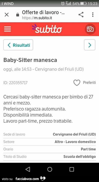 Cercasi Baby-Sitter manesca