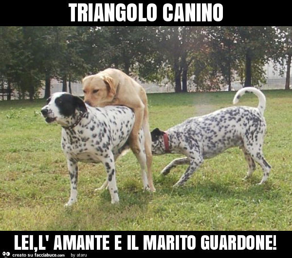 Triangolo canino lei, l' amante e il marito guardone