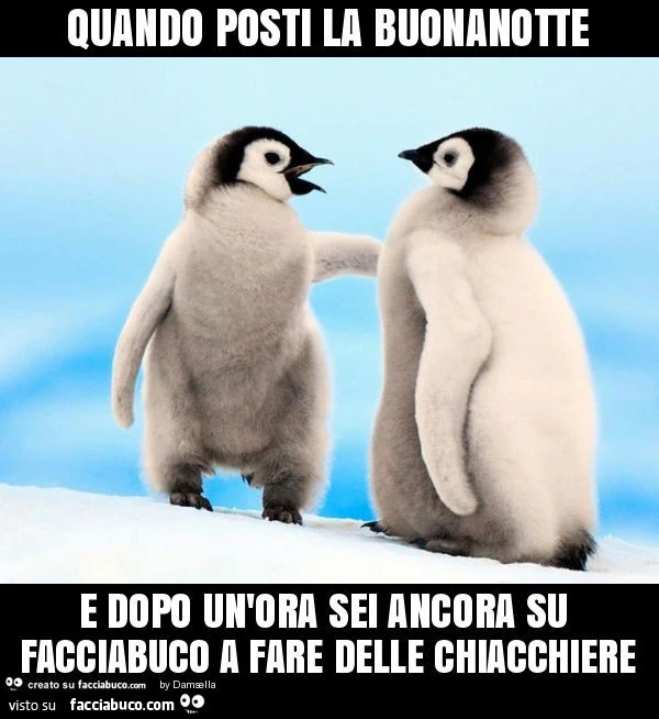Quando posti la buonanotte e dopo un'ora sei ancora su facciabuco a fare delle chiacchiere