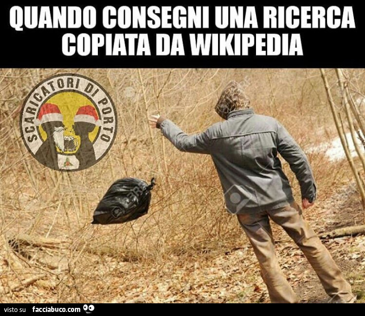 Quando consegni una ricerca copiata da wikipedia