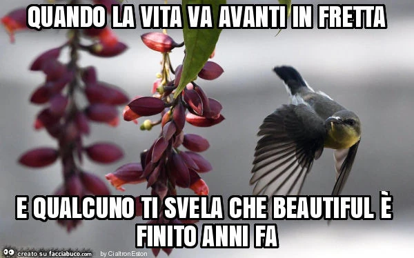 Quando la vita va avanti in fretta e qualcuno ti svela che beautiful è finito anni fa