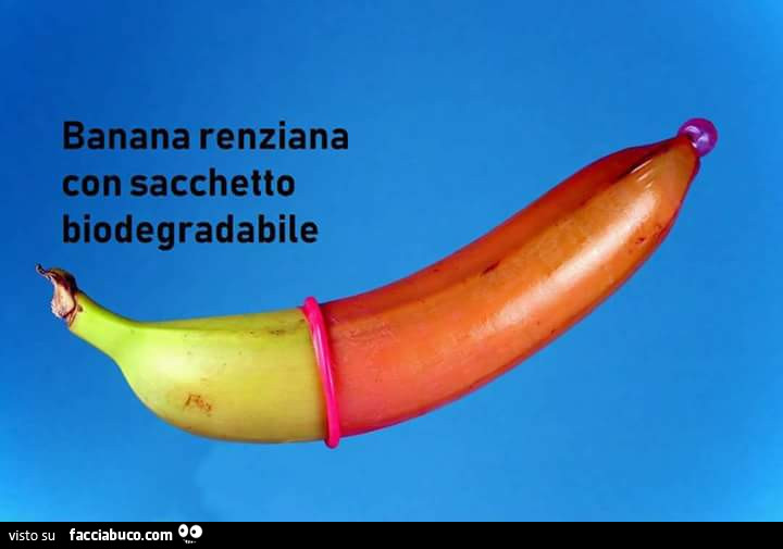 Banana Renziana con sacchetto biodegradabile