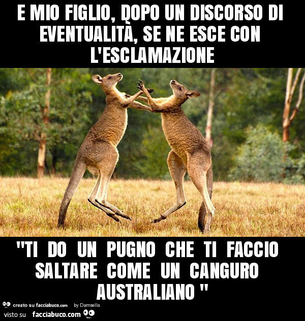 E mio figlio, dopo un discorso di eventualità, se ne esce con l'esclamazione "ti do un pugno che ti faccio saltare come un canguro australiano "