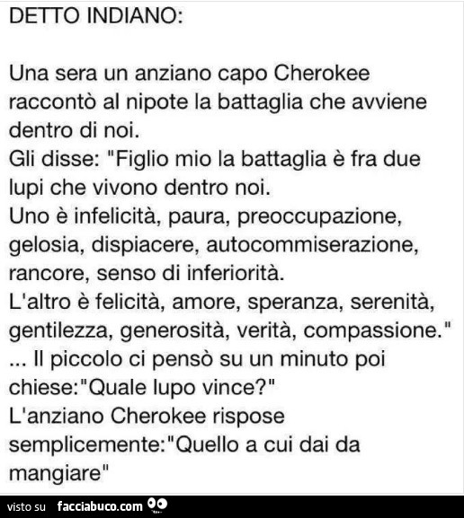 Detto indiano: una sera un anziano capo cherokee raccontò al nipote la battaglia che avviene dentro di noi. Gli disse: figlio mio la battaglia è fra due lupi che vivono dentro noi