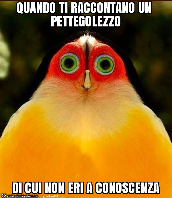 Quando ti raccontano un pettegolezzo di cui non eri a conoscenza