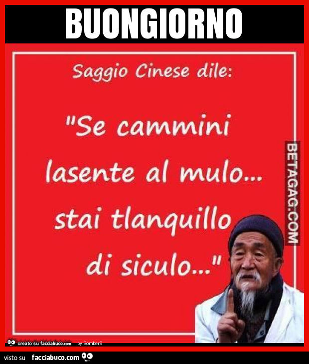 Buongiorno Saggio Cinese Dile Se Cammini Lasente Al Mulo Stai Tlanquillo Di Siculo Facciabuco Com