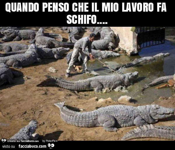 Quando penso che il mio lavoro fa schifo