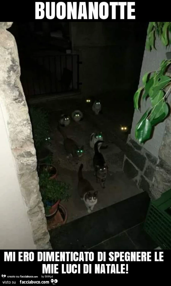 Buonanotte mi ero dimenticato di spegnere le mie luci di natale