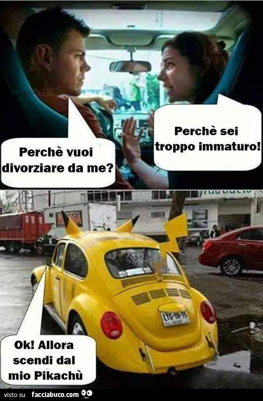 Perchè vuoi divorziare da me. Perchè sei troppo immaturo. Ok allora scendi dal mio Pikachù