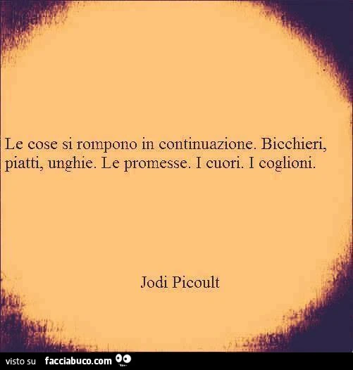 Le cose si rompono in continuazione. Bicchieri, piatti, unghie. Le promesse. I cuori. I coglioni. Jodi Picoult