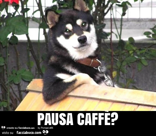 Pausa caffè?