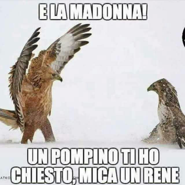 E la madonna un pompinazzo ti ho chiesto mica un rene