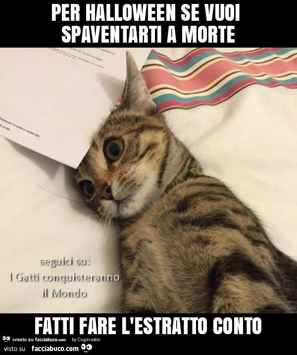 Per halloween se vuoi spaventarti a morte fatti fare l'estratto conto