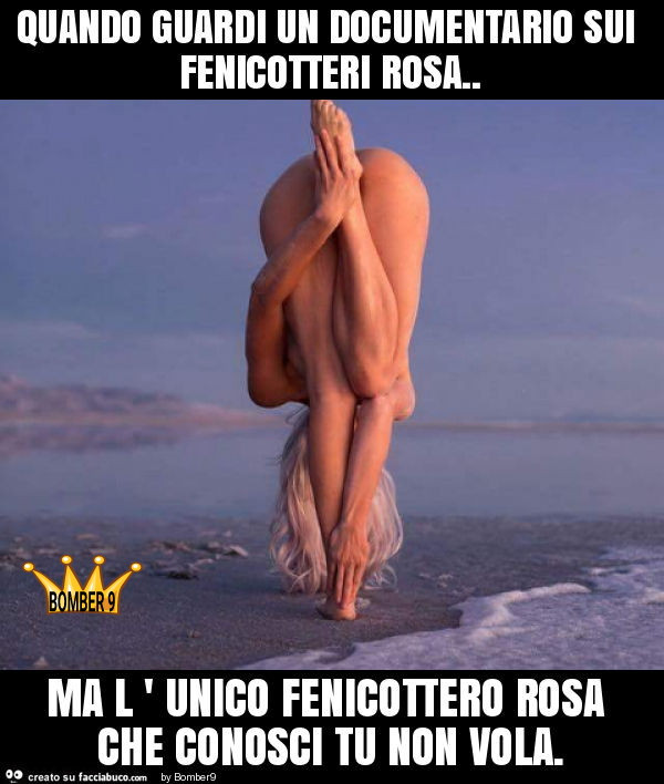 Quando guardi un documentario sui fenicottero rosa