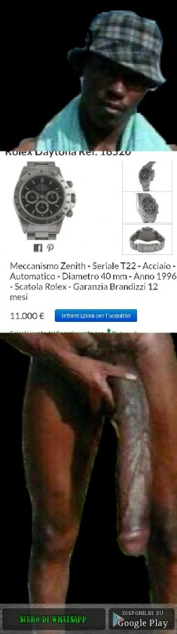 Vaccata
