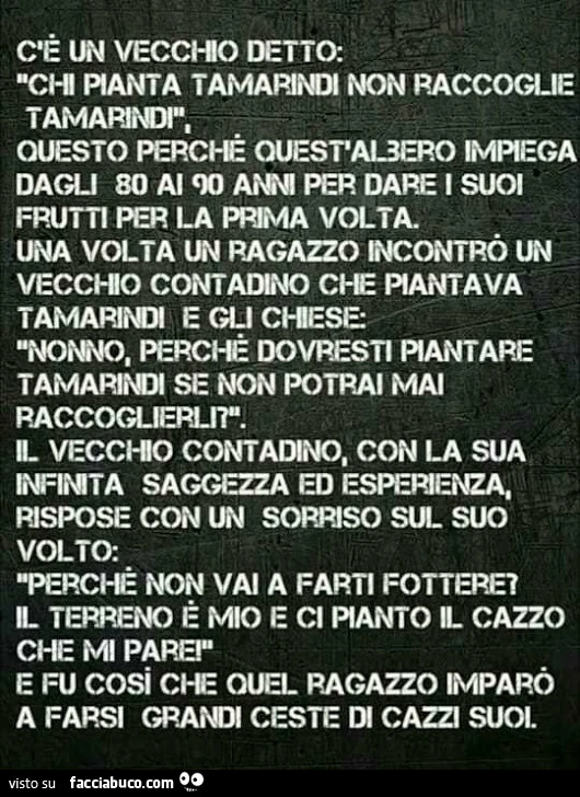 C'è un vecchio detto: chi pianta tamarindi non raccoglie tamarindi