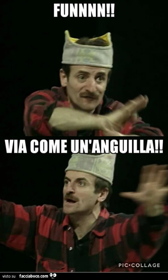 Vaccata