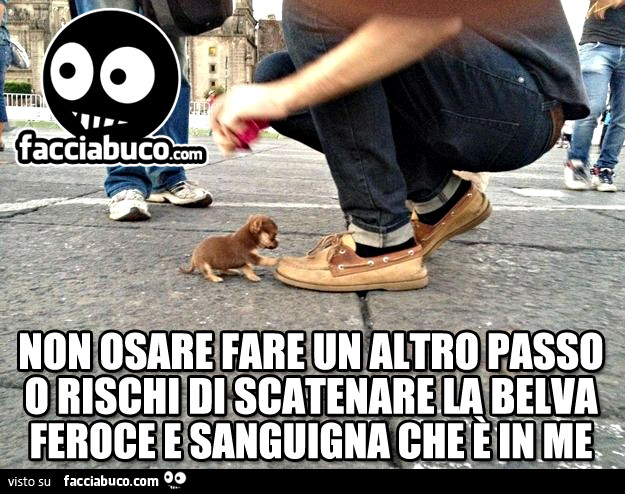 Non osare fare un altro passo o rischi di scatenare la belva feroce e sanguigna che è in me