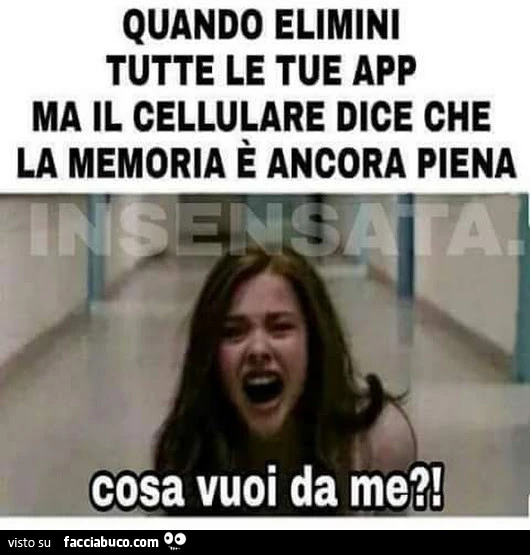 Quando elimini tutte le tue app ma il cellulare dice che la memoria è ancora piena&hellip; cosa vuoi da me?