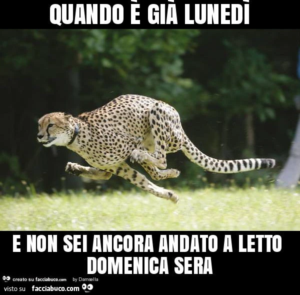 Quando è già lunedì e non sei ancora andato a letto domenica sera