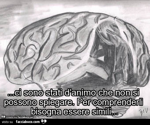 Ci sono stati d'animo che non si possono spiegare. Per comprenderli bisogna essere simili