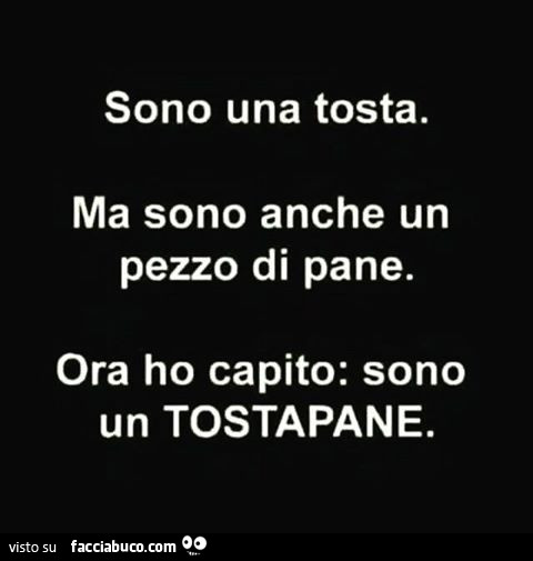 Sono una tosta, ma sono anche un pezzo di pane. Ora ho capito: sono un tostapane