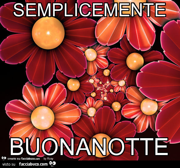 Semplicemente Buonanotte Facciabuco Com