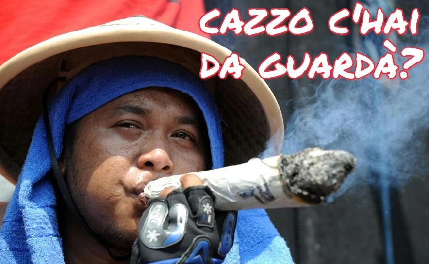 Vaccata