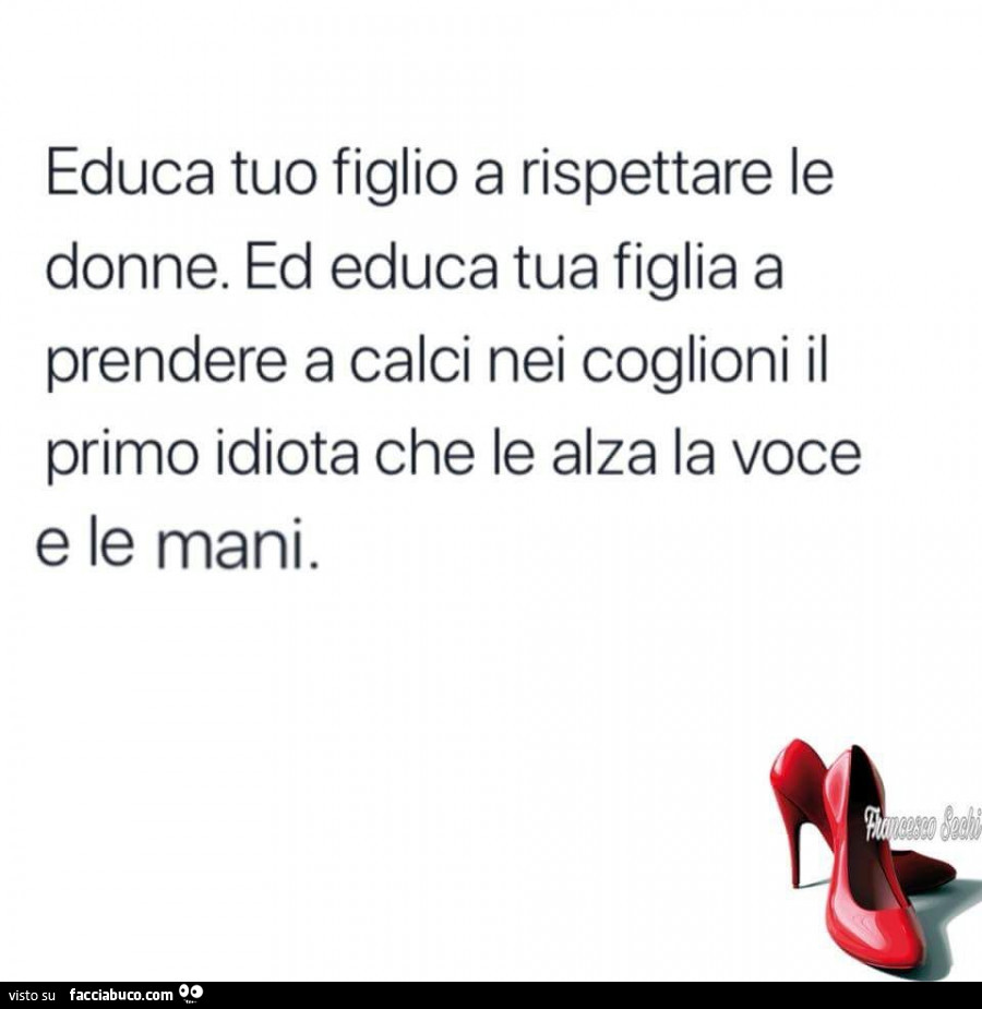 Educa tuo figlio a rispettare le donne. Ed educa tua figlia a prendere a calci nei coglioni il primo idiota che le alza la voce e le mani