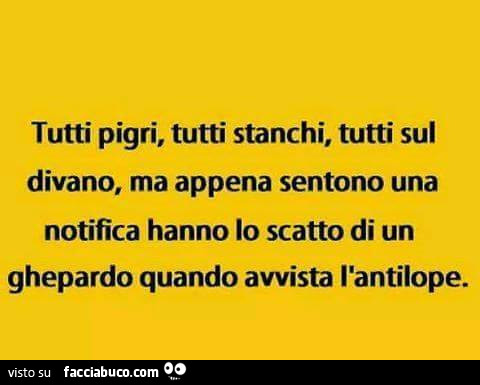 Tutti pigri, tutti stanchi, tutti sul divano, ma appena sentono una notifica hanno lo scatto di un ghepardo quando avvista l'antilope