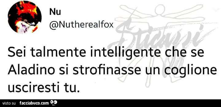 Sei talmente intelligente che se aladino si strofinasse un coglione usciresti tu