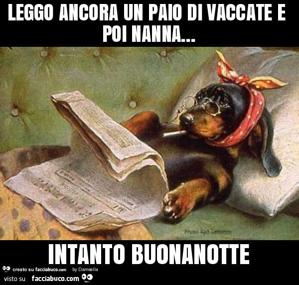 Leggo ancora un paio di vaccate e poi nanna… intanto buonanotte