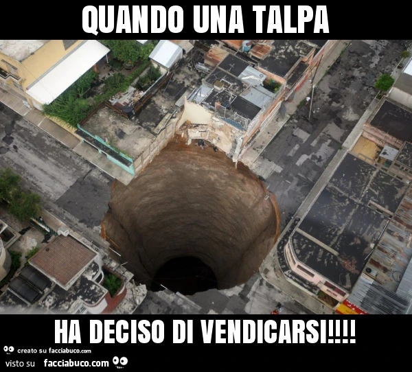 Quando una talpa ha deciso di vendicarsi