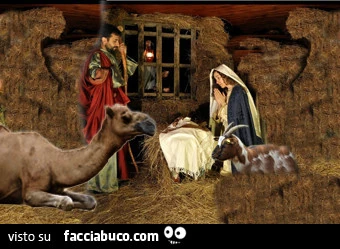 Presepe con cammello e capra