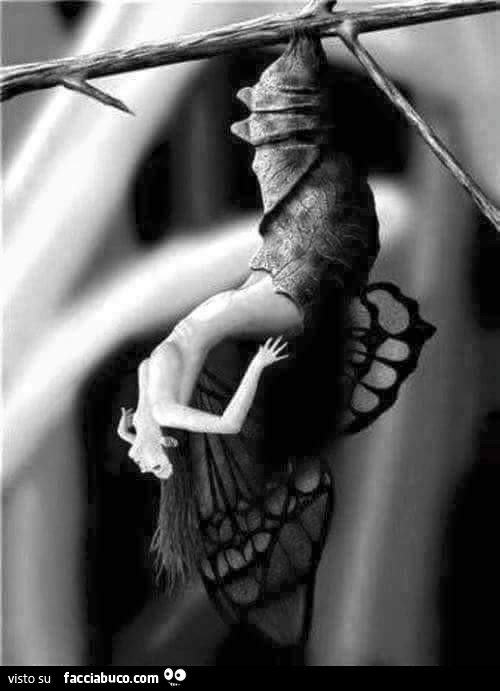 Donna nuda con ali di farfalla esce dal bozzolo 