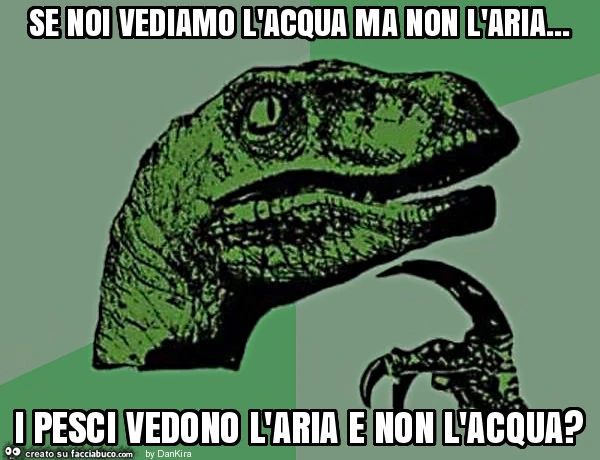 Se noi vediamo l'acqua ma non l'aria&hellip; i pesci vedono l'aria e non l'acqua?