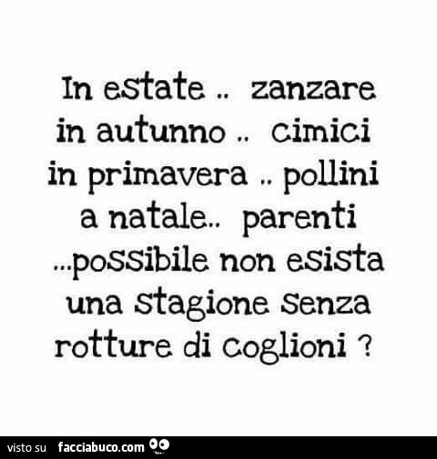 In estate zanzare, in autunno cimici, in primavera pollini, a natale parenti. Possibile non esista una stagione senza rotture di coglioni?