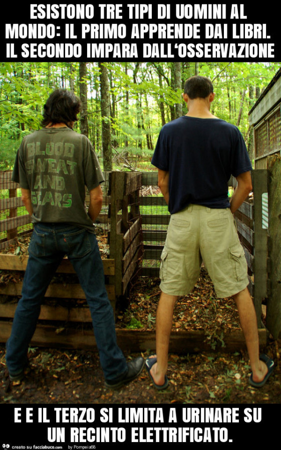 Esistono tre tipi di uomini al mondo: il primo apprende dai libri. Il secondo impara dall‘osservazione e e il terzo si limita a urinare su un recinto elettrificato