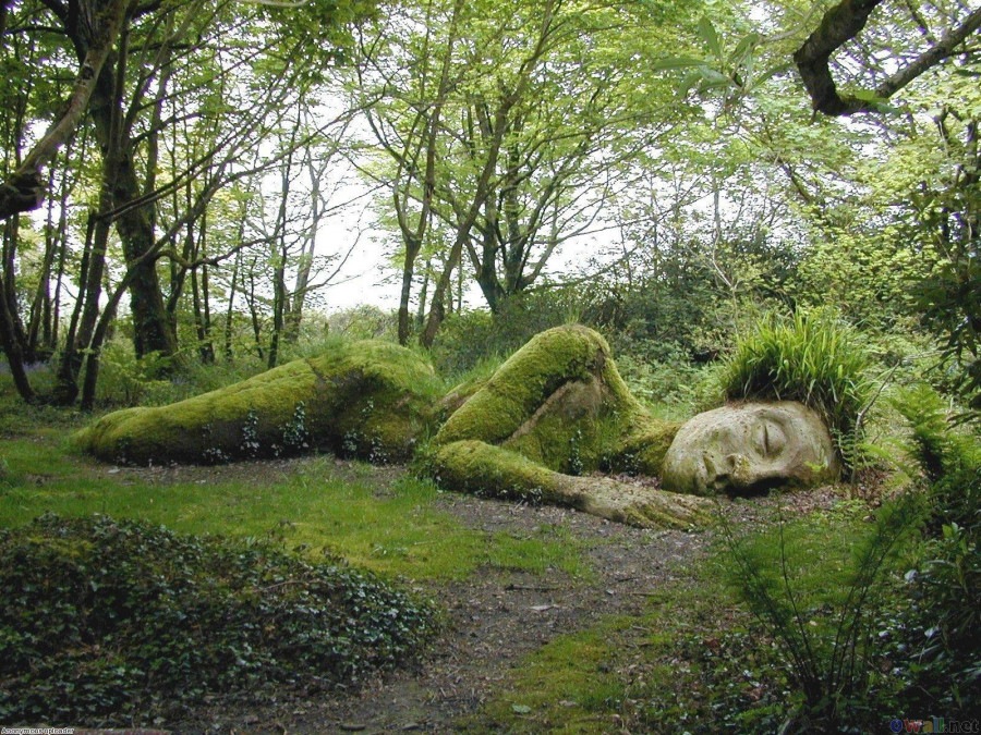 Bosco scultura verde che dorme