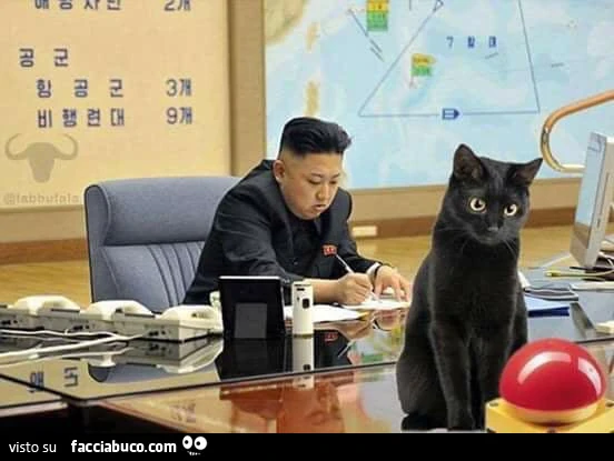 Il gatto nero fissa il pulsante nucleare di Kim Jong-un
