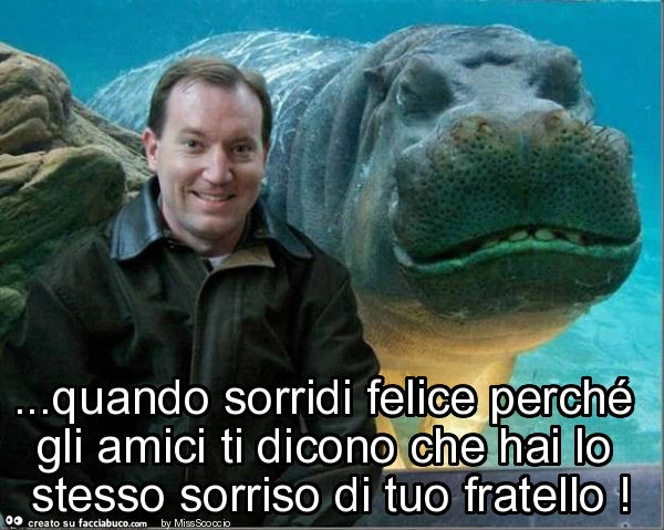 Quando sorridi felice perché gli amici ti dicono che hai lo stesso sorriso di tuo fratello