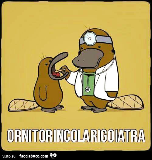 Ornitorincolarigoiatra