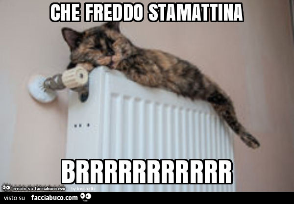 Gatto sul termosifone. Che freddo stamattina brrrrrrrrrrr