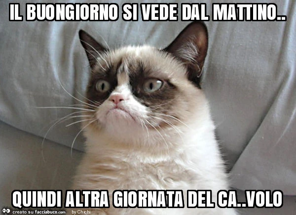 Il buongiorno si vede dal mattino. Quindi altra giornata del ca. Volo