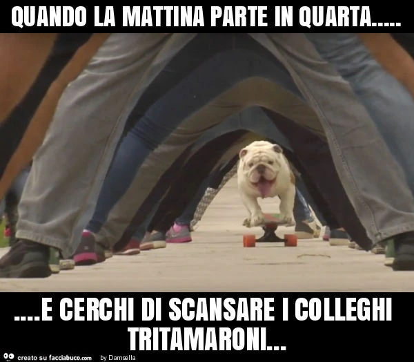 Quando la mattina parte in quarta&hellip; e cerchi di scansare i colleghi tritamaroni